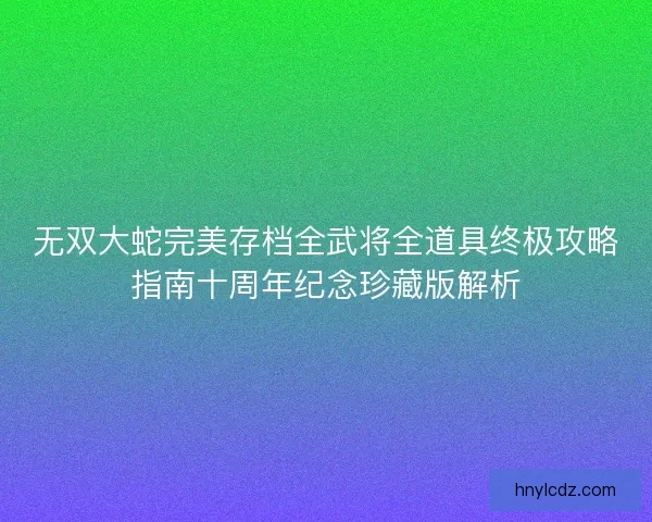 无双大蛇完美存档全武将全道具终极攻略指南十周年纪念珍藏版解析