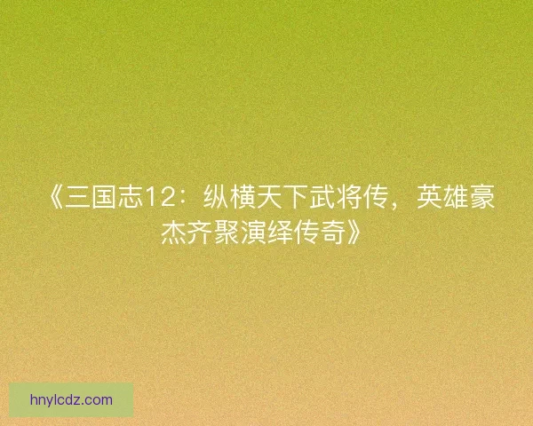 《三国志12:纵横天下武将传,英雄豪杰齐聚演绎传奇》 《三国志12:纵横天下武将传,英雄豪杰齐聚演绎传奇》