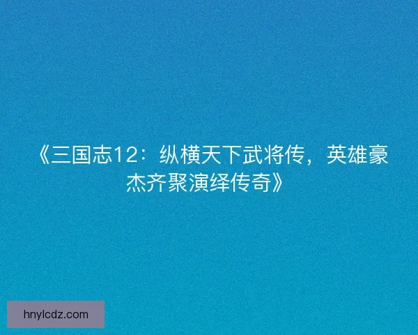 《三国志12:纵横天下武将传,英雄豪杰齐聚演绎传奇》 《三国志12:纵横天下武将传,英雄豪杰齐聚演绎传奇》