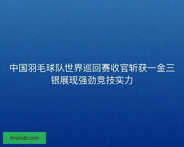 中国羽毛球队世界巡回赛收官斩获一金三银展现强劲竞技实力